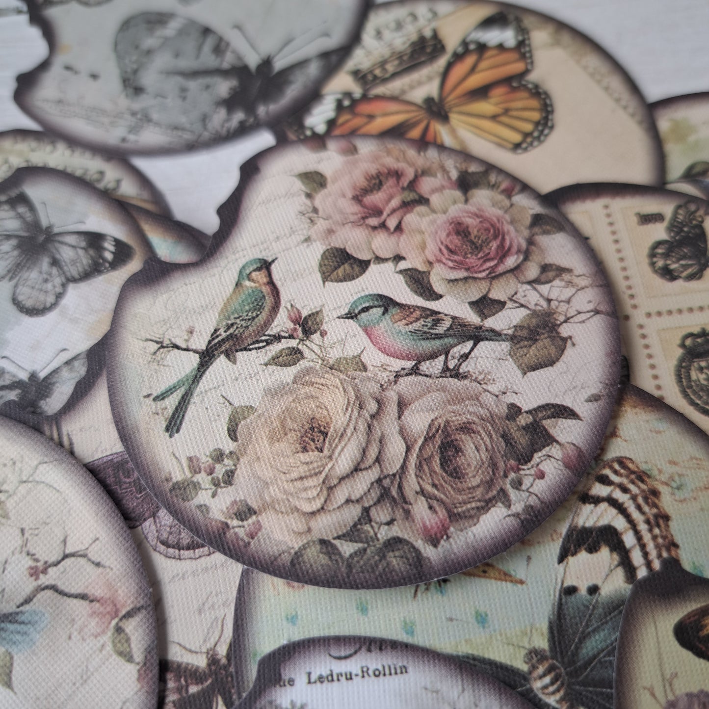 ronde stickerset met vogels en vlinders