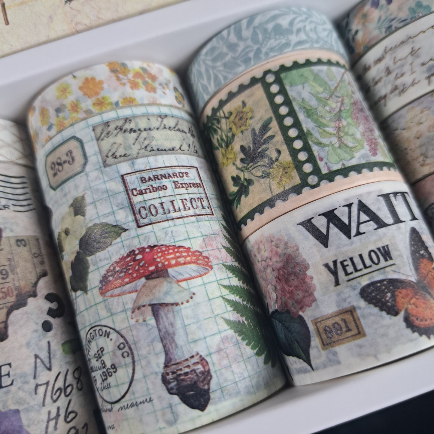 doosje met 20 rollen washitape natuur en dier