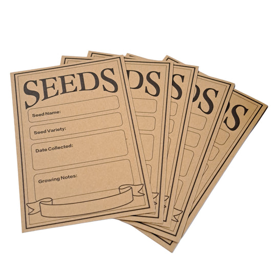 種子袋紙套裝 8x12cm 5 件