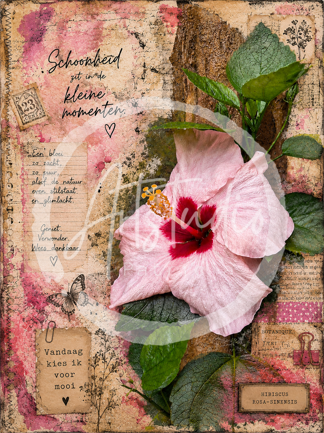 bloemen pracht