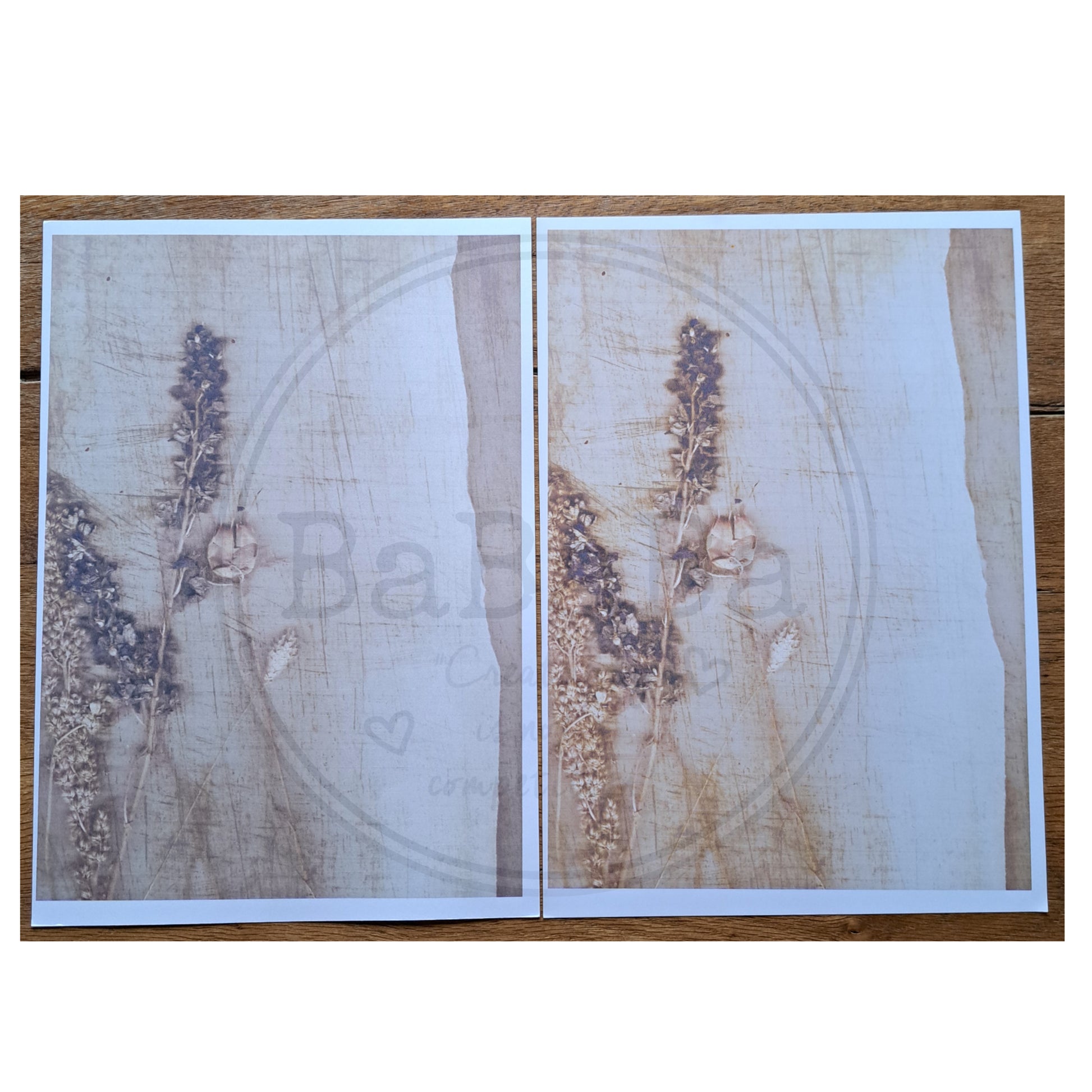 digital download dry flower on paper - bababa