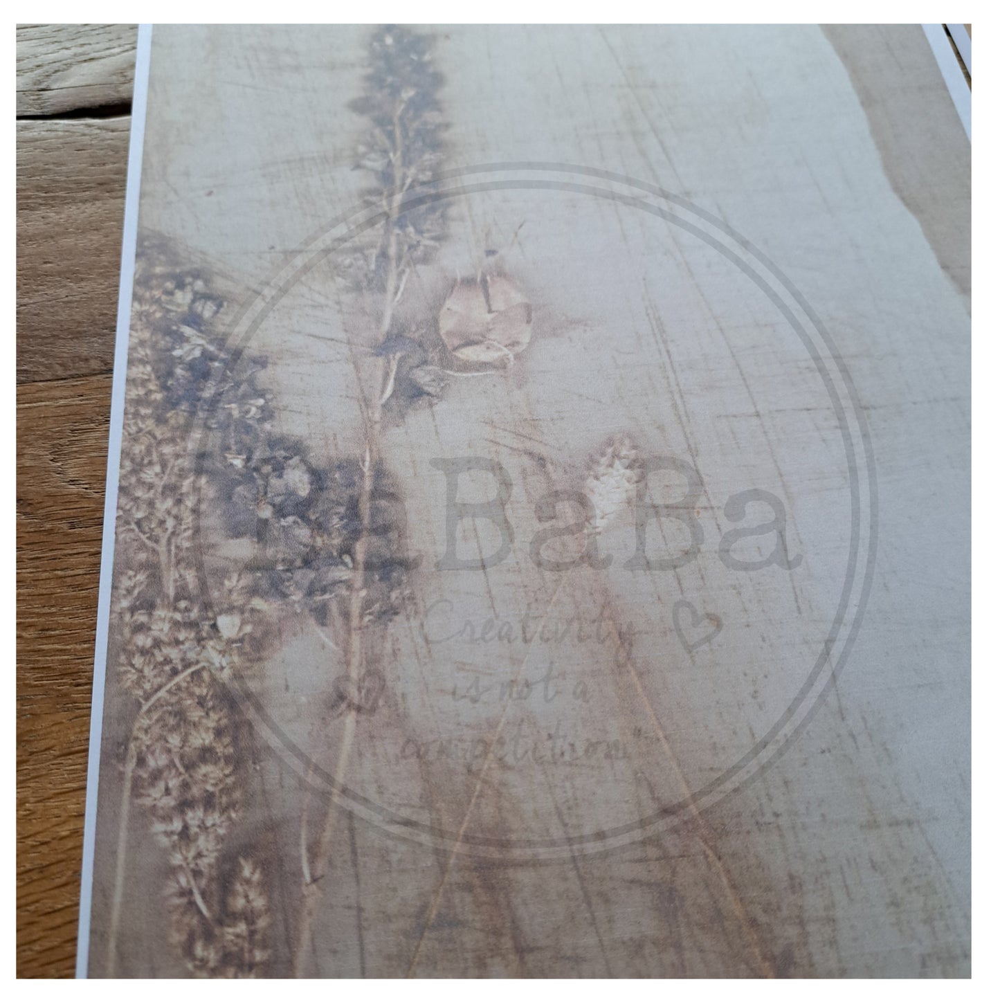 digital download dry flower on paper - bababa