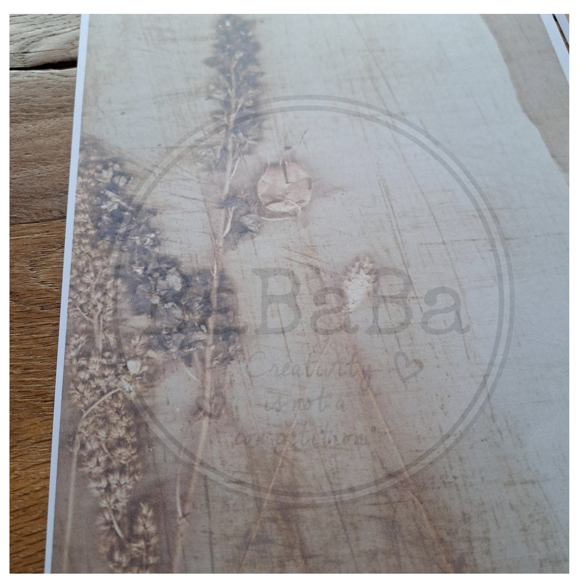 digital download dry flower on paper - bababa