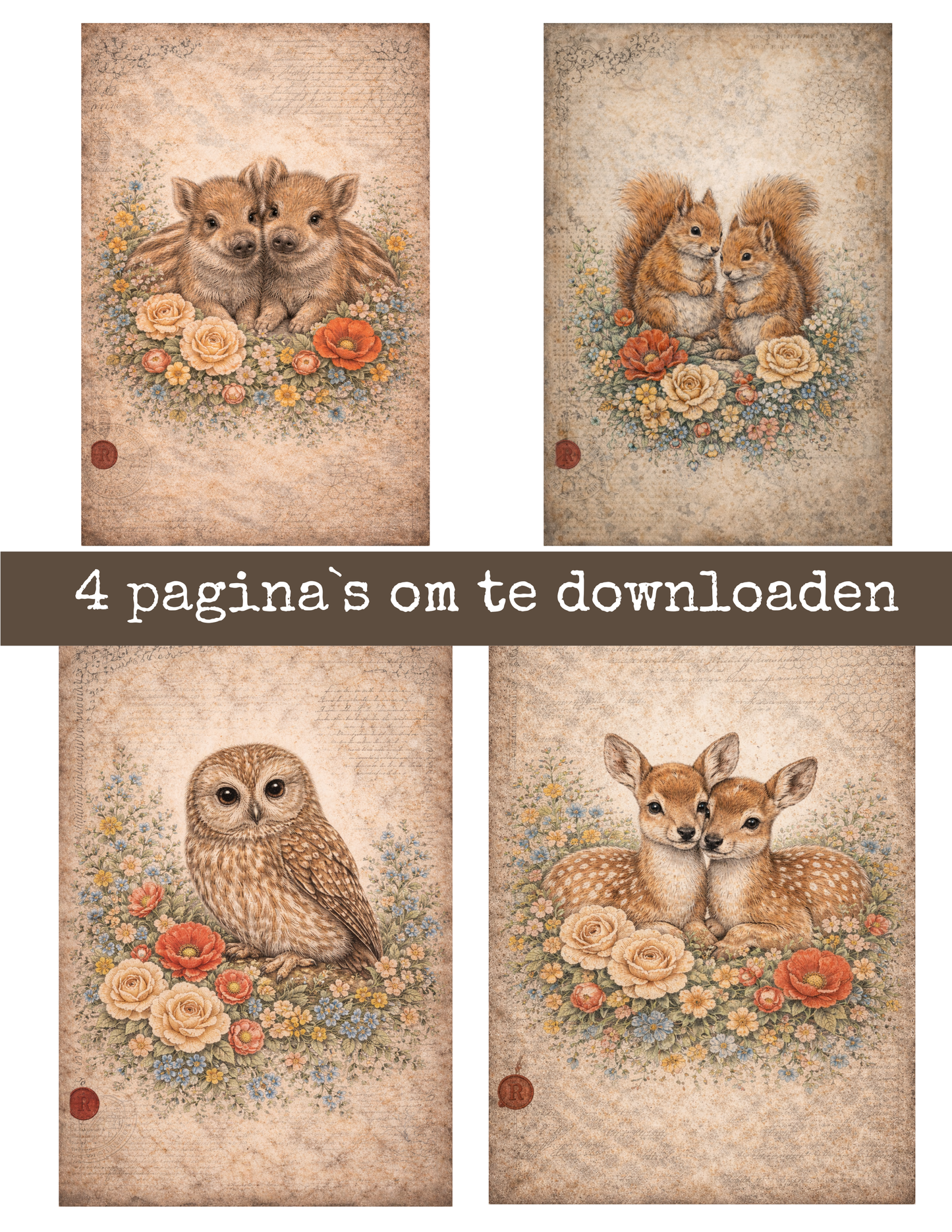 Bosdieren Illustraties – A4 Digitale Download (uil, hert, eekhoorn & everzwijn)