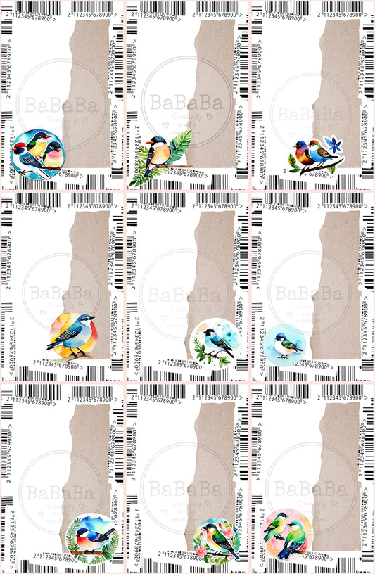 9 Digital Files Birds BUNDLE - bababa