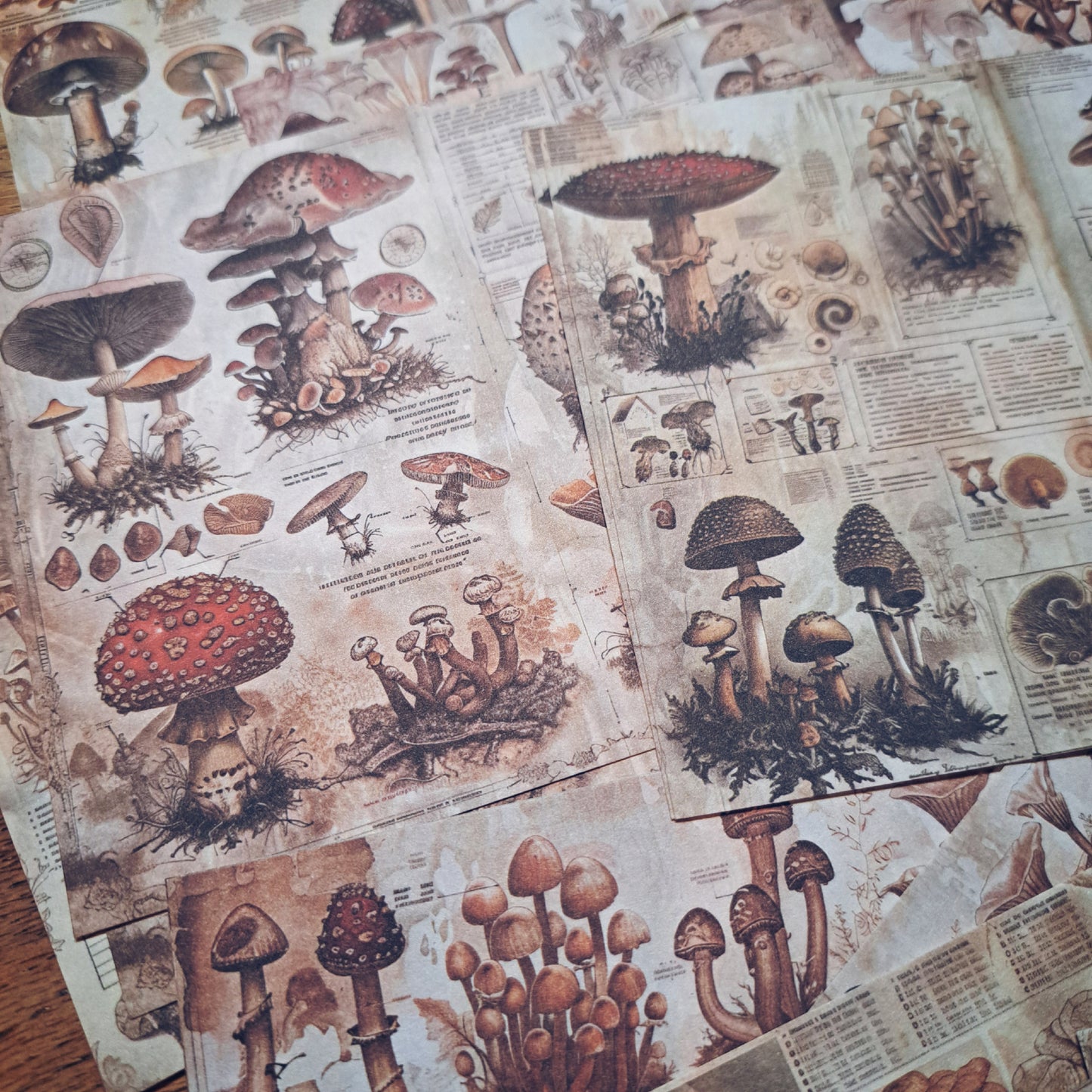 papier pakketje paddenstoelen 30 vellen scrapbook papier