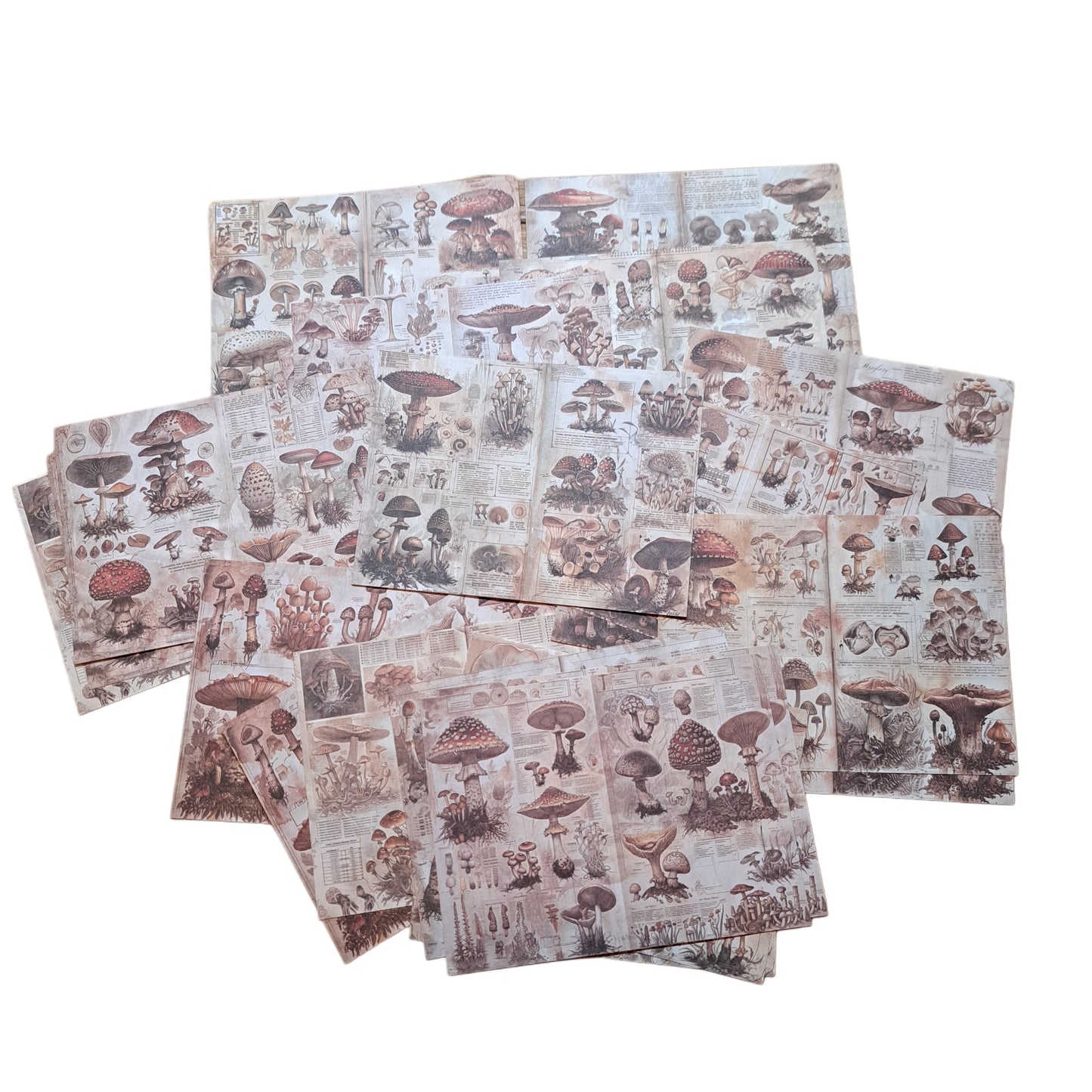papier pakketje paddenstoelen 30 vellen scrapbook papier