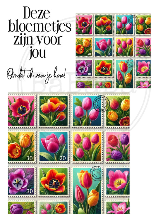 bundeltje met tulpen