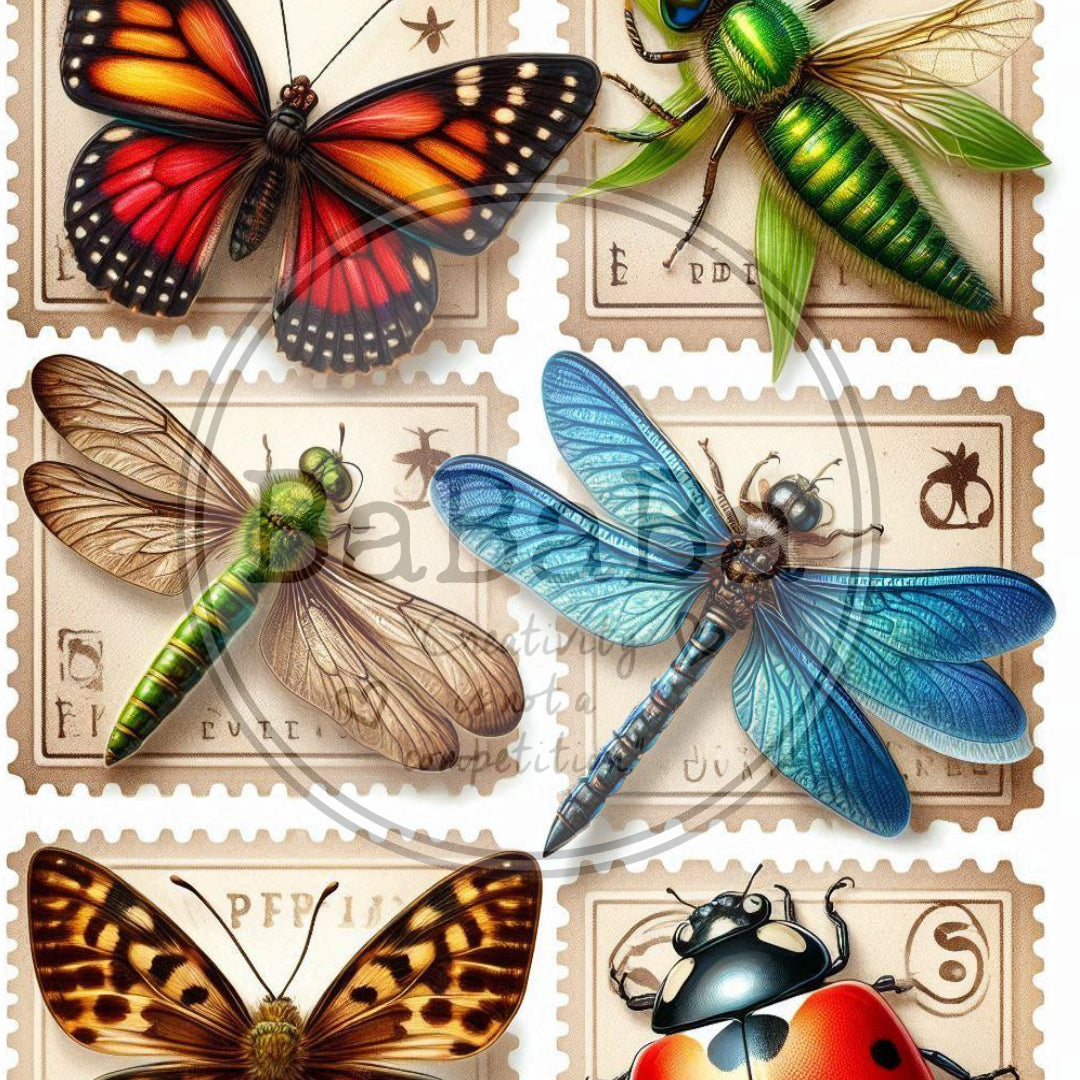 digital download vlinders en insecten