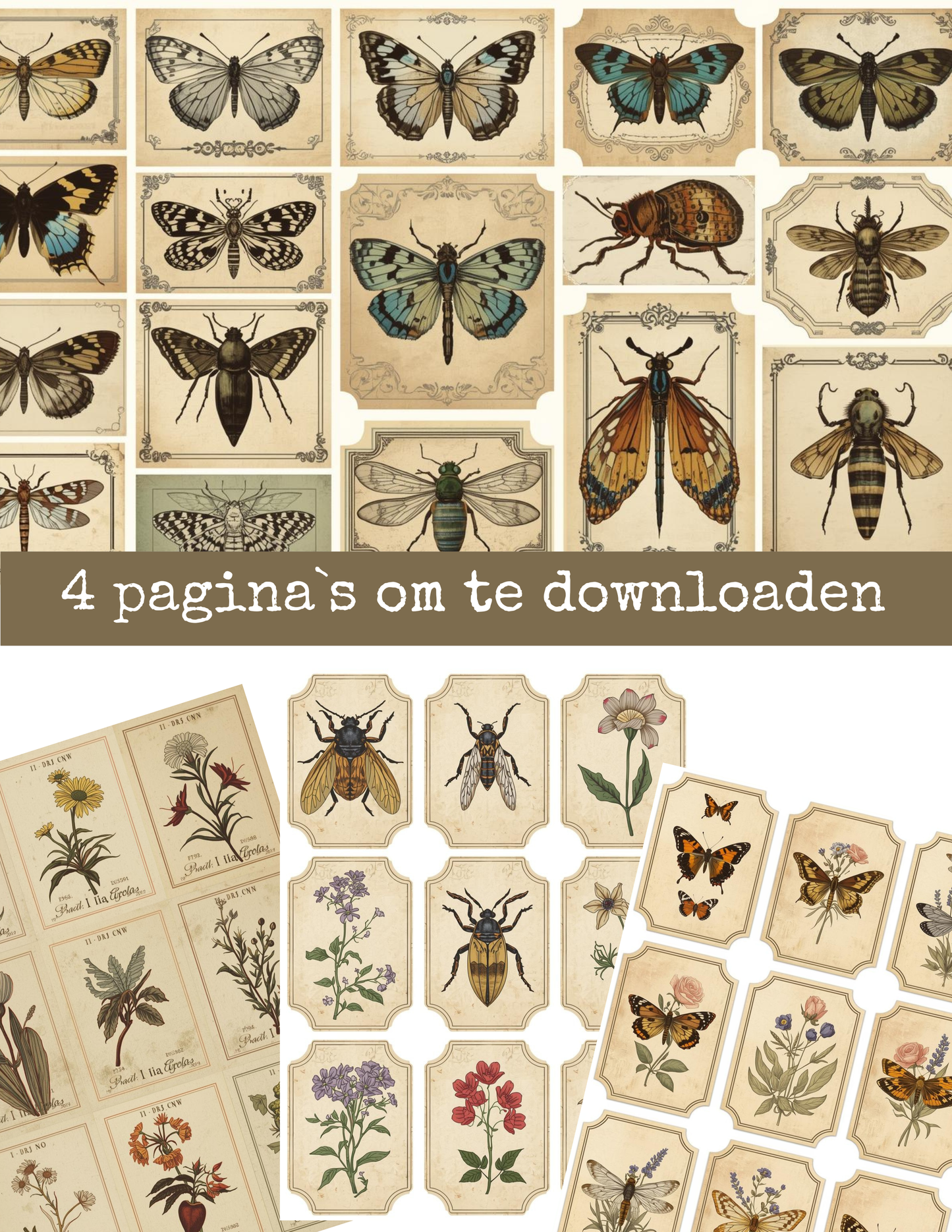 Vintage Botanical Ephemera - Vlinders, Bloemen & Insecten - 4 Pagina's