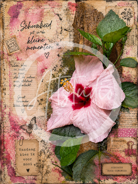 bloemen pracht