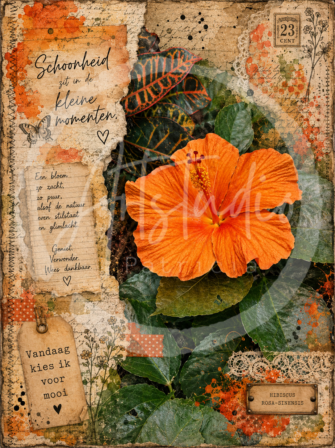 Bloemenpracht 1
