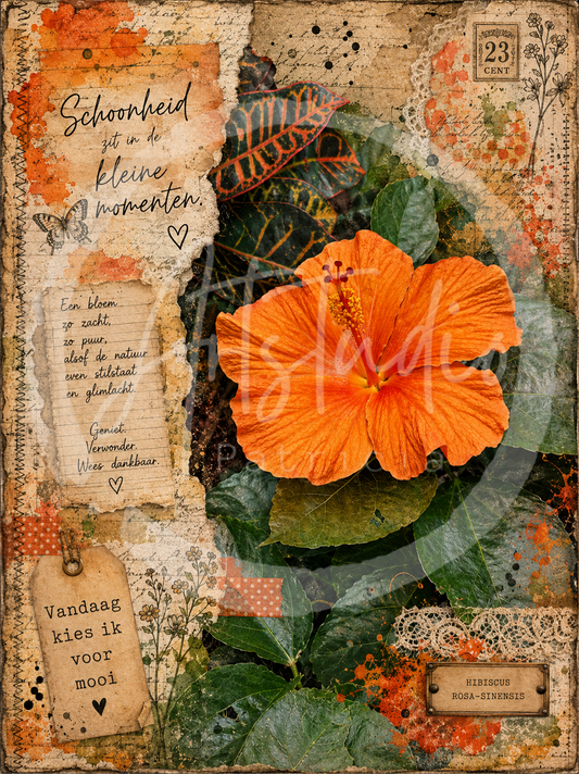 Bloemenpracht 1
