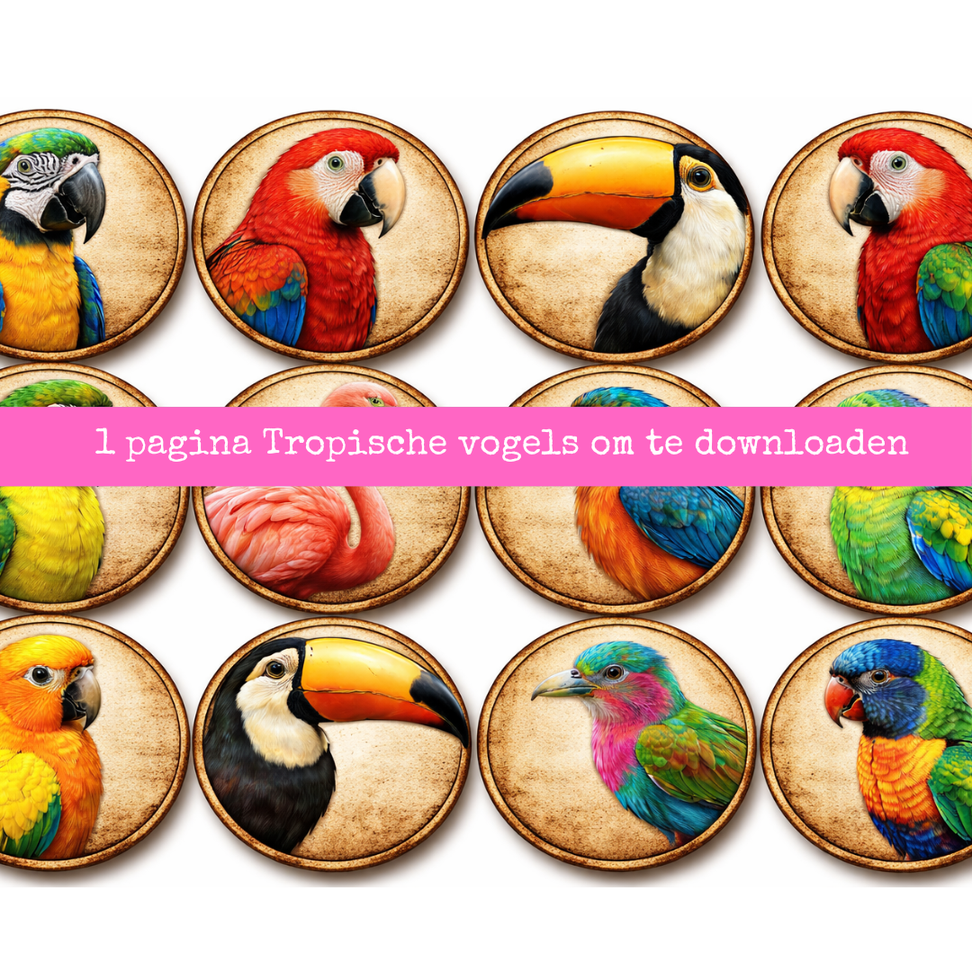Digitaal Papier – 12 Tropische Vogels | Printbaar A4