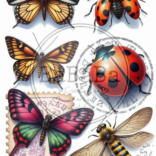 digital download butterflies and insects 1